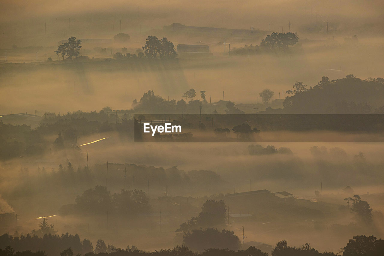 High angle view of trees on landscape against sky