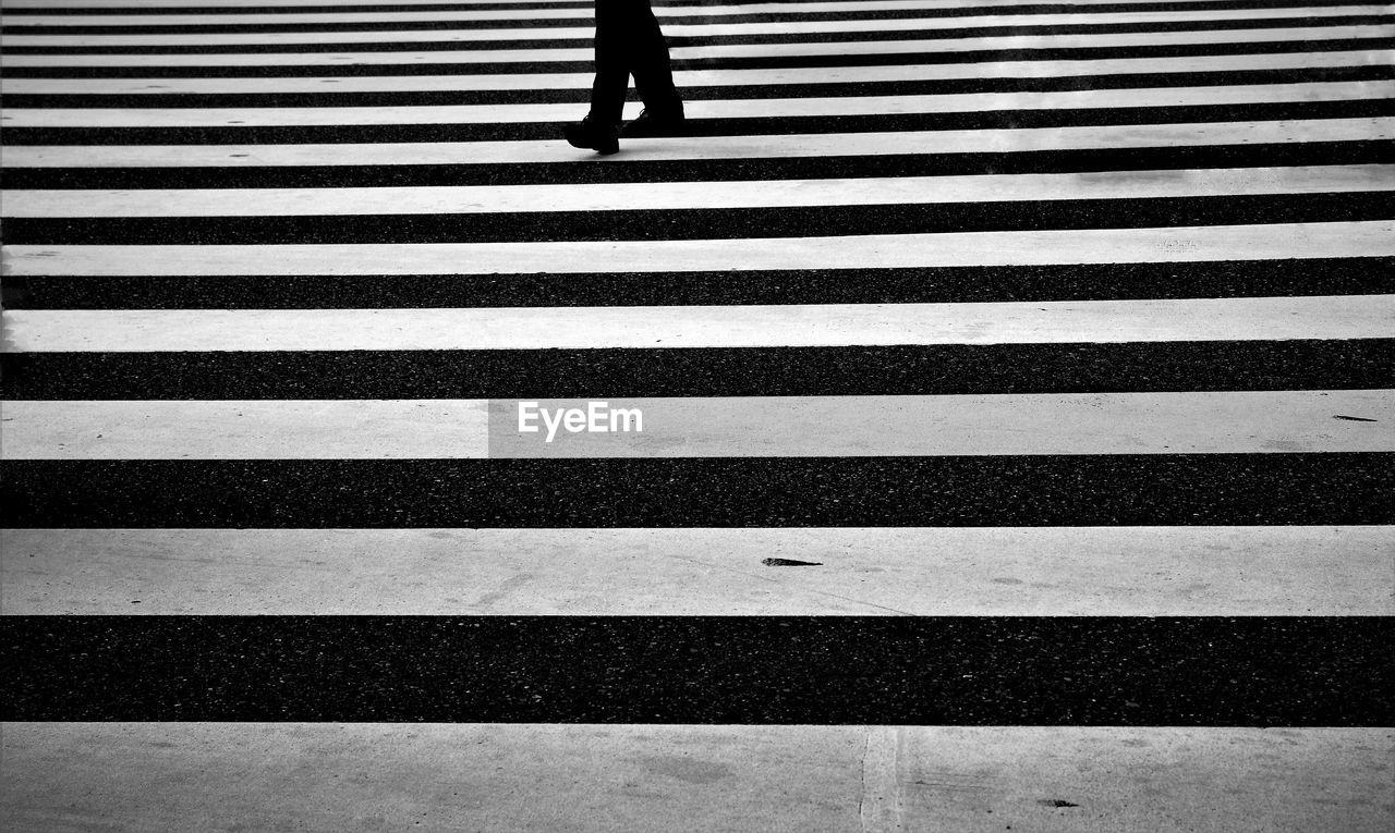 Low section of man walking on zebra crossing