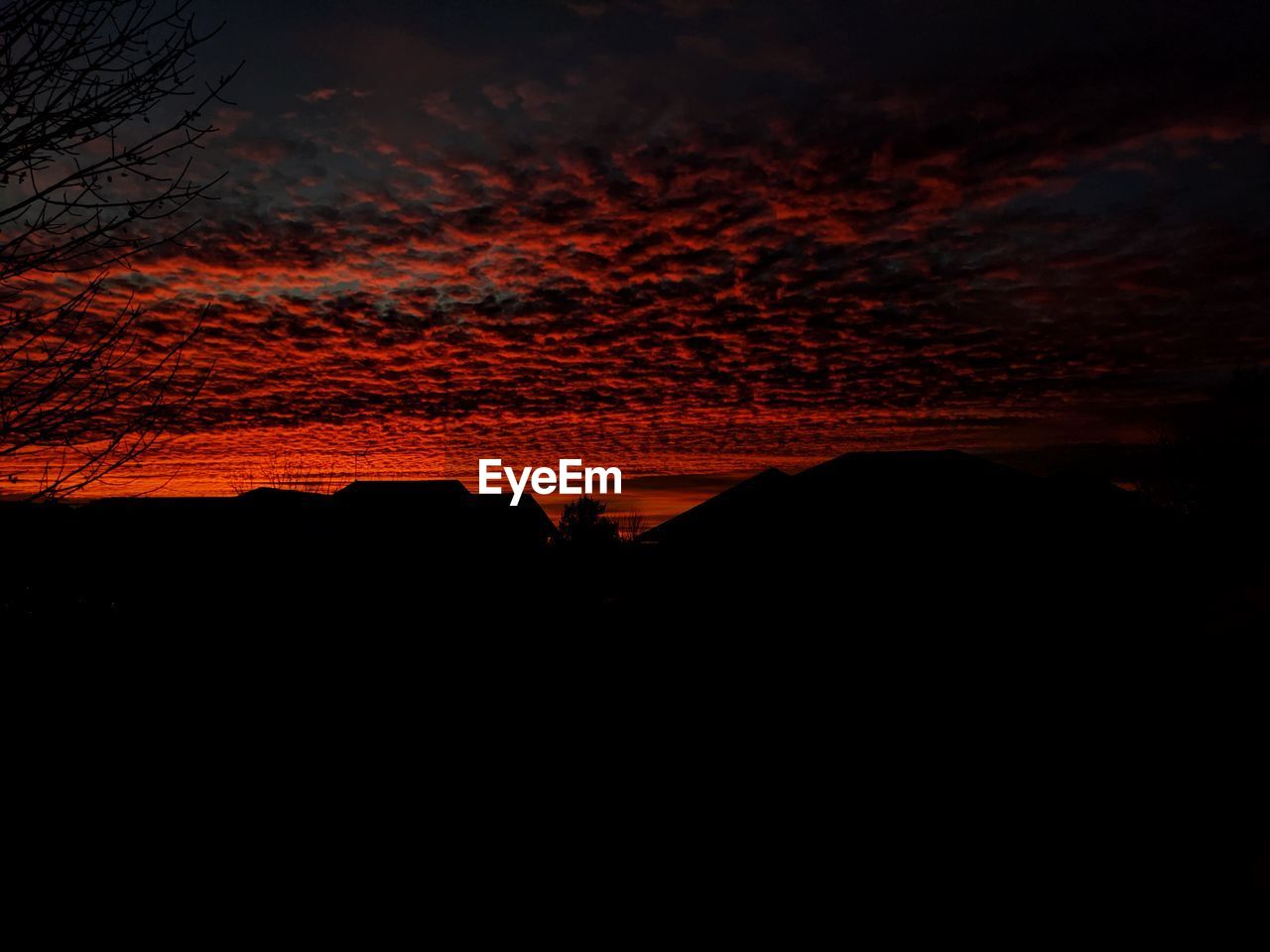 SCENIC VIEW OF SILHOUETTE TREES AGAINST DRAMATIC SKY