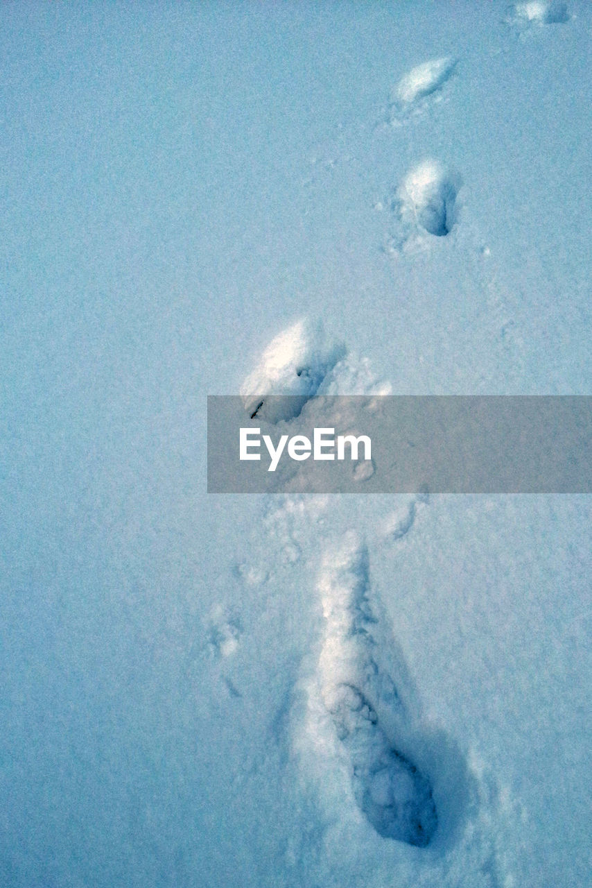 HIGH ANGLE VIEW OF SNOW ON SEA SHORE