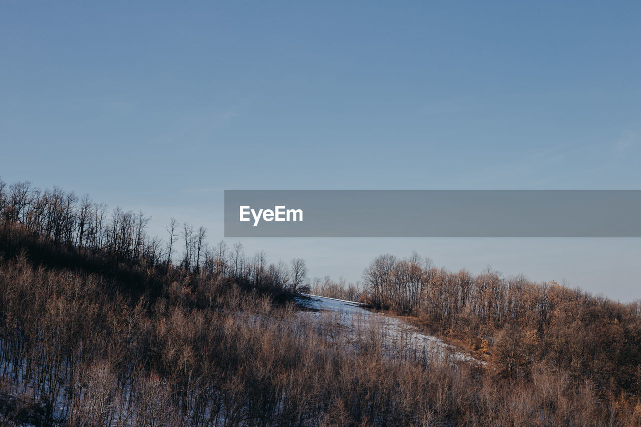 Bare trees on field against sky during winter 