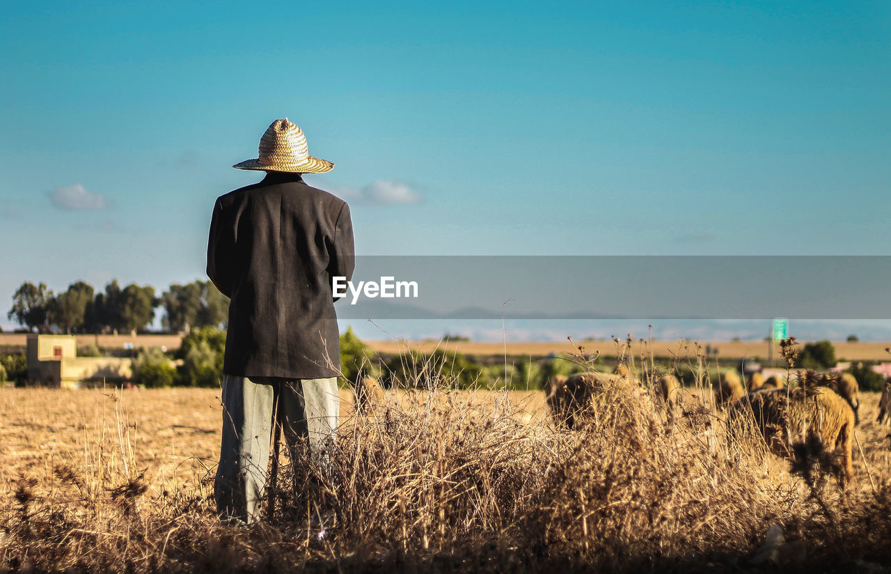 Rear view of man standing on field against blue sky