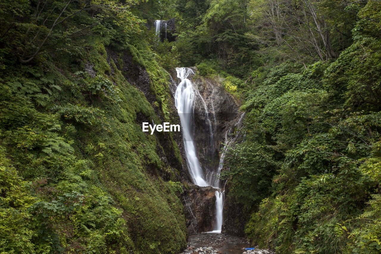 Scenic view of waterfall in forest