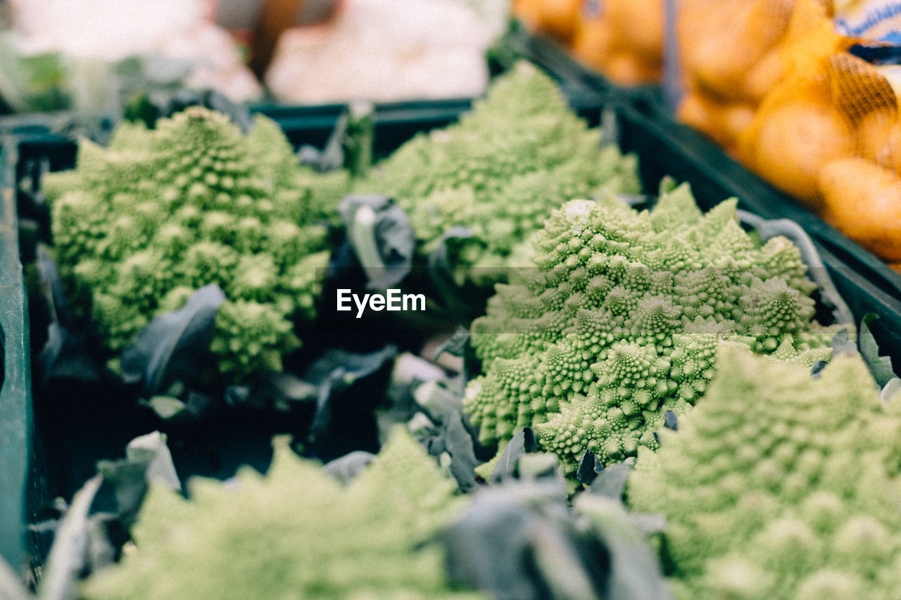 Close-up of romanesco