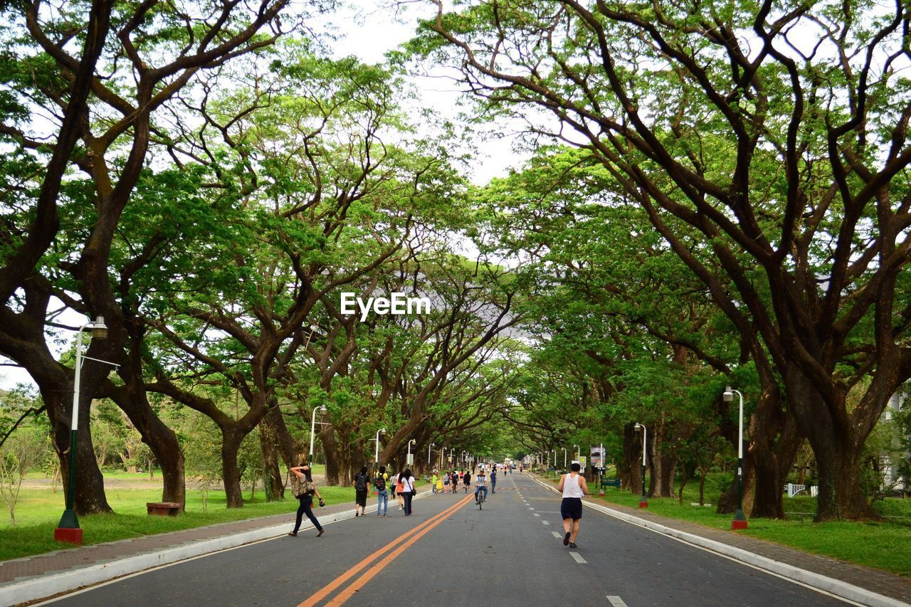 People on road amidst trees at park