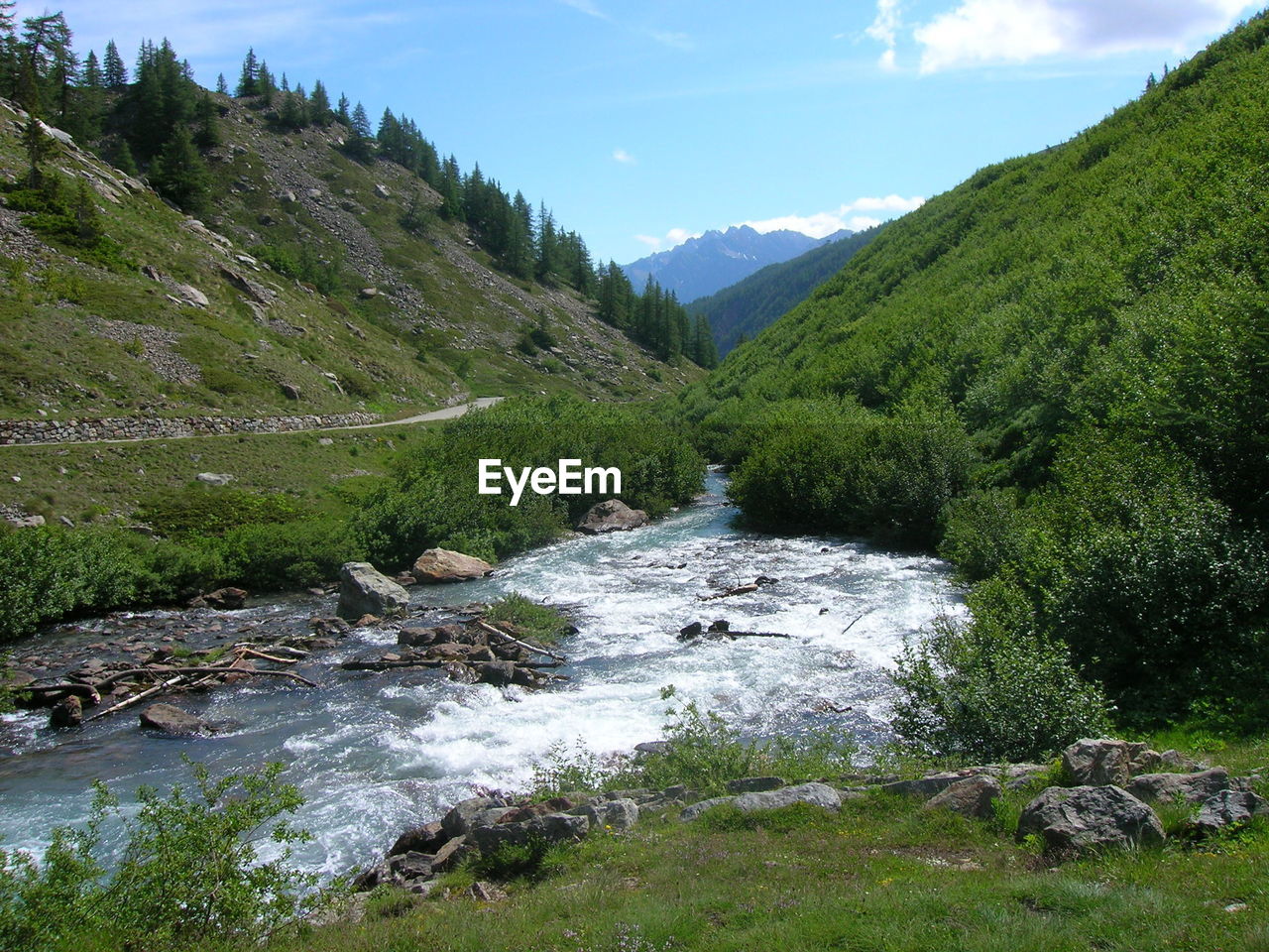 Scenic view of stream amidst trees against sky