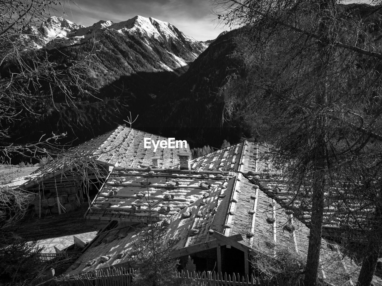 High angle view of houses and trees on mountain