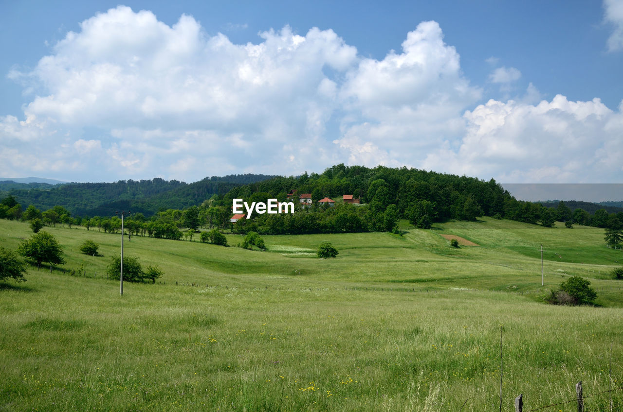 Mountain village surrounded with pines beneath blue sky