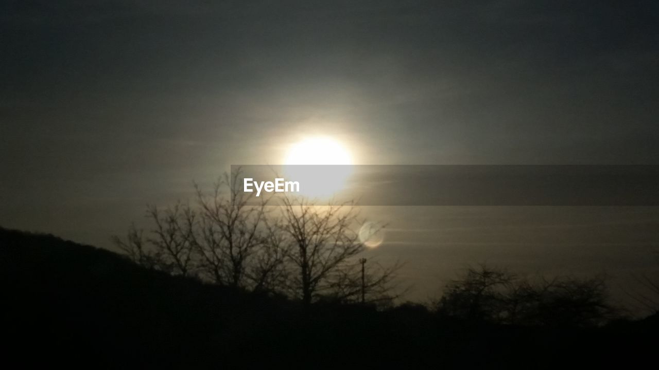 SILHOUETTE OF BARE TREES AGAINST SUNSET SKY