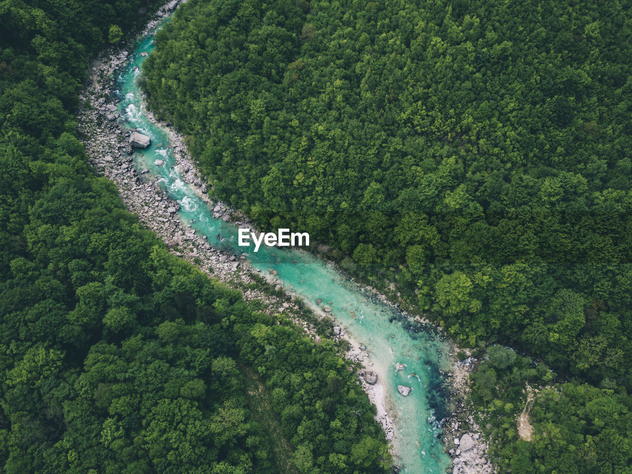 HIGH ANGLE VIEW OF WATER FLOWING THROUGH FOREST