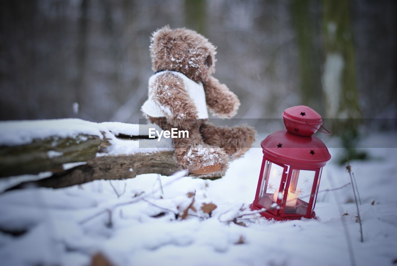 Stuffed toy on field during winter