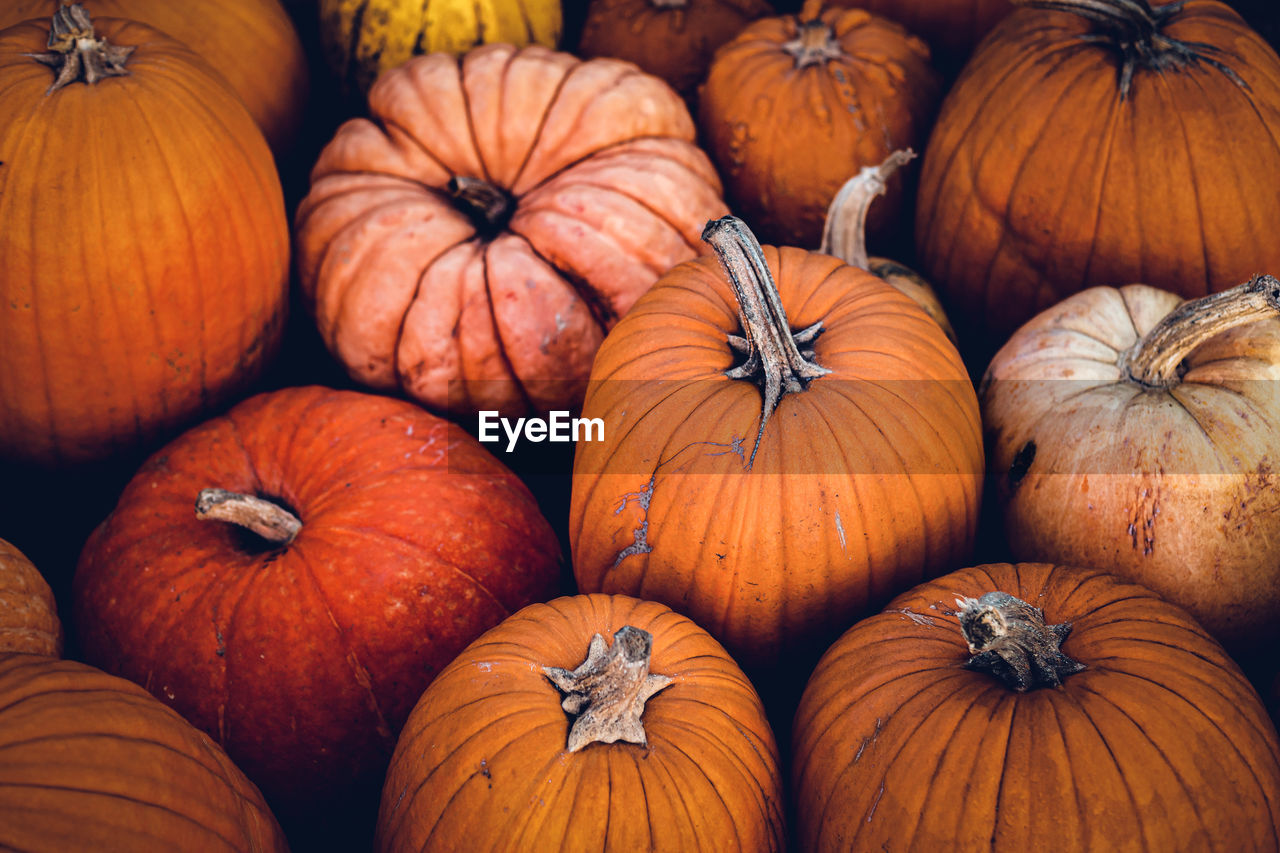 Full frame shot of pumpkins for sale at market