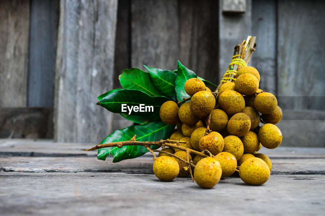 CLOSE-UP OF BANANAS