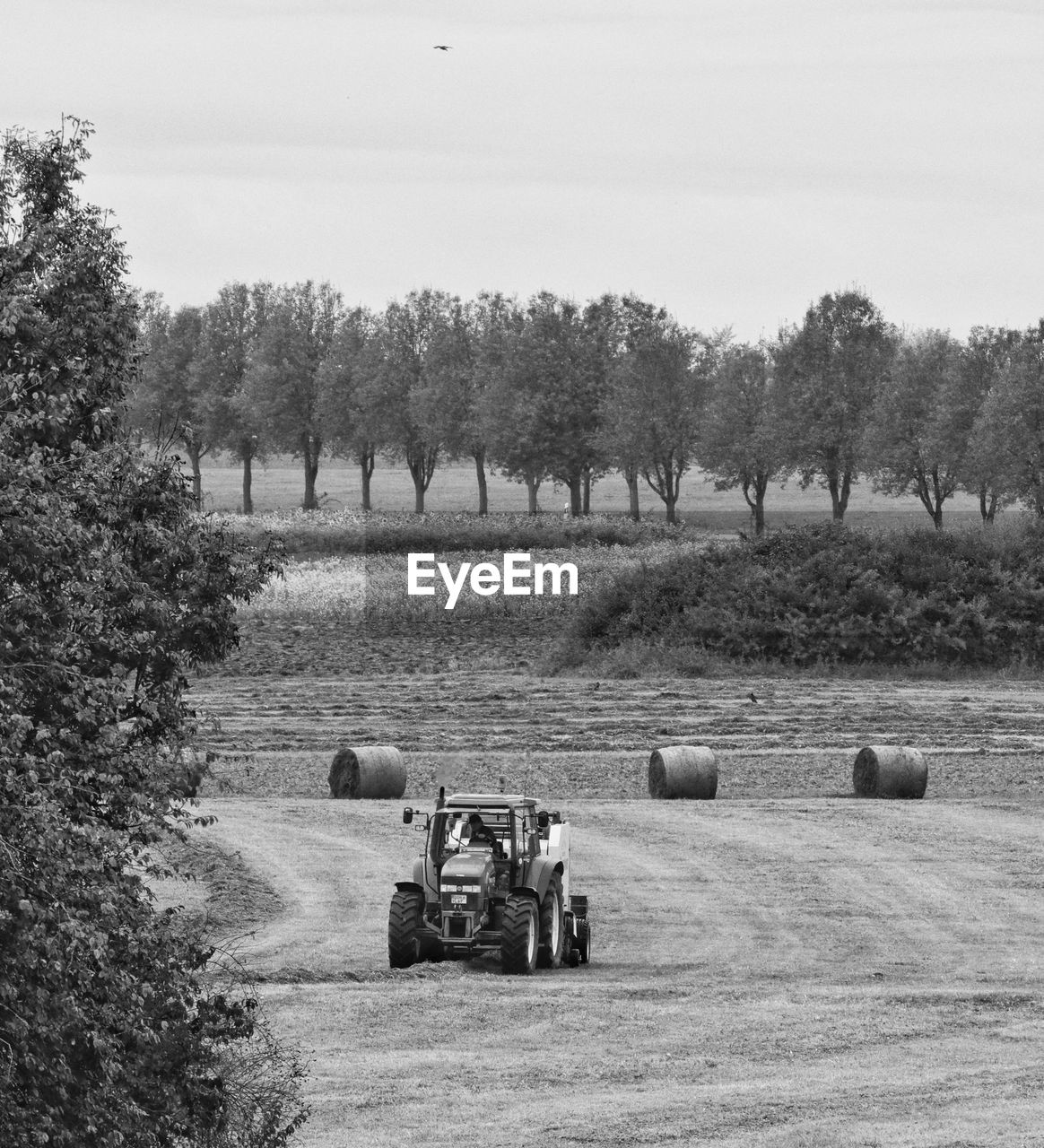 VIEW OF TRACTOR ON FIELD