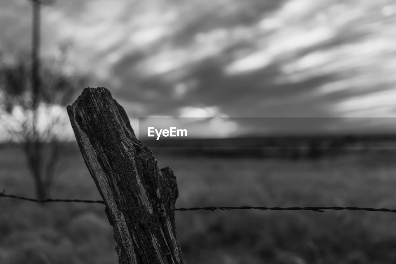 CLOSE-UP OF BARBED WIRE ON WOODEN POST