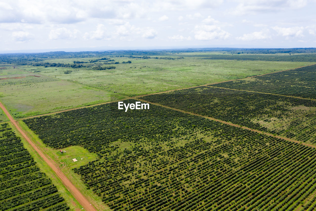 SCENIC VIEW OF AGRICULTURAL LANDSCAPE AGAINST SKY