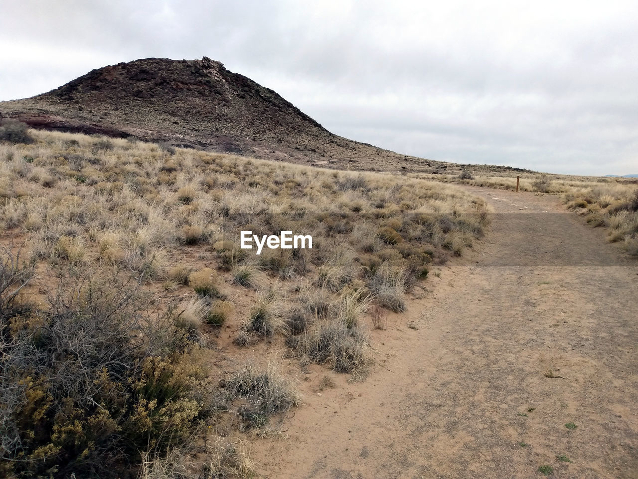 Dirt road heading toward dormant volcano, petroglyph national monument, new mexico