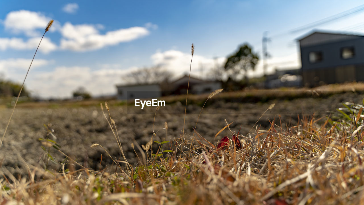 SURFACE LEVEL OF LAND AGAINST SKY
