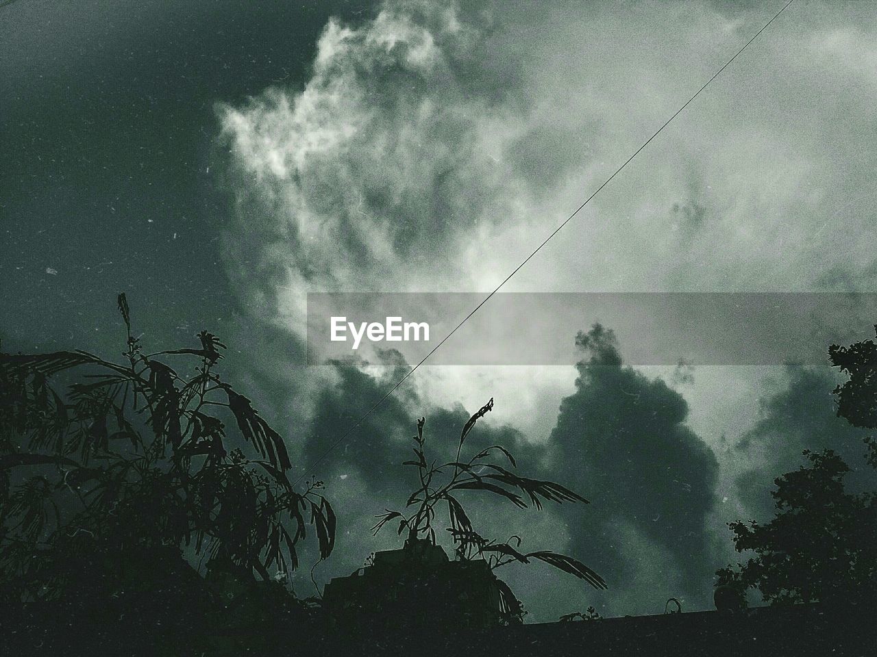 LOW ANGLE VIEW OF SILHOUETTE TREE AGAINST SKY