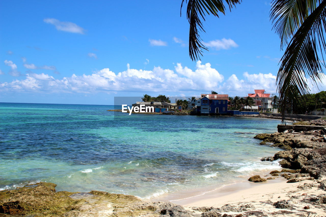 SCENIC VIEW OF BEACH AGAINST CLOUDY SKY