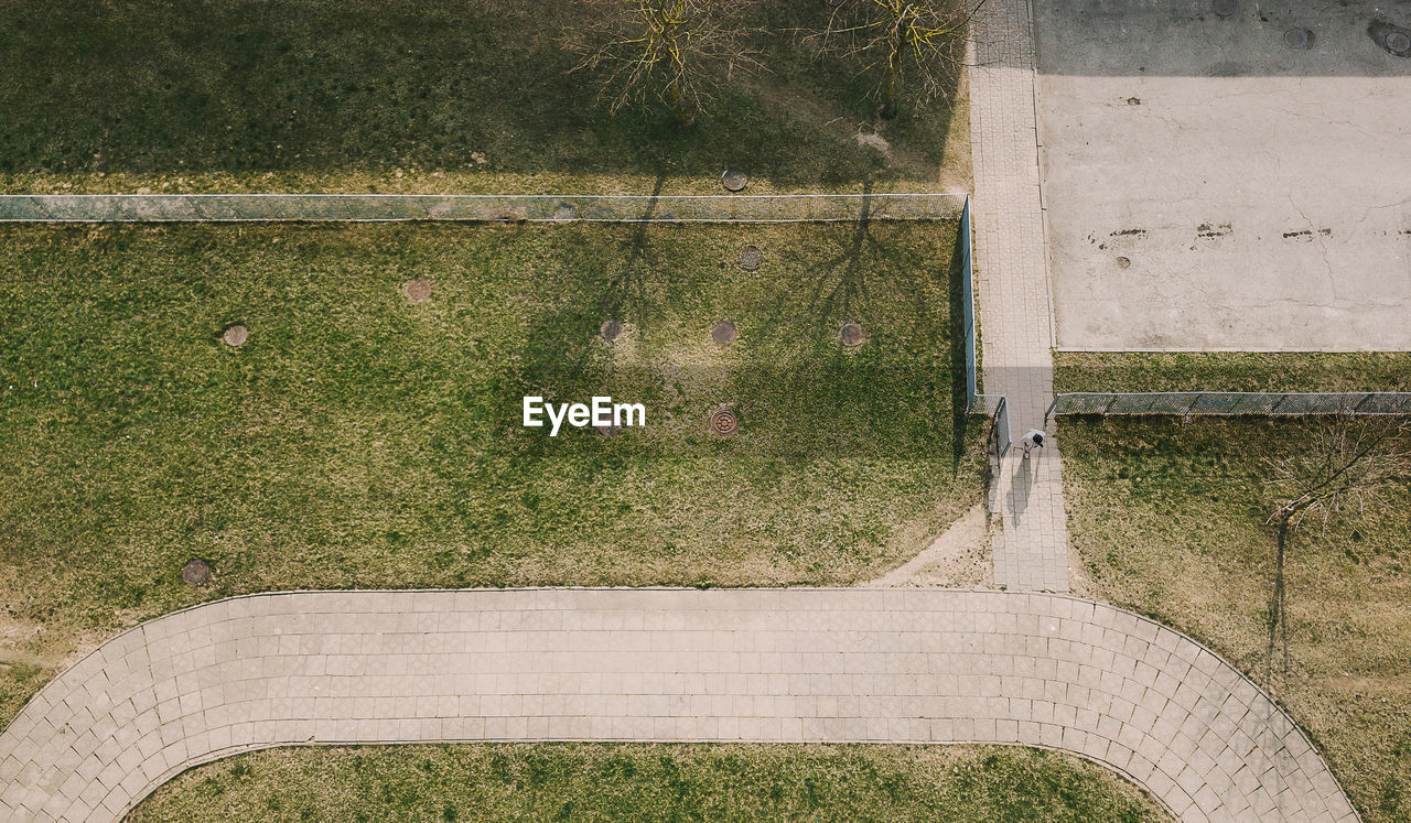 High angle view of plants growing on field