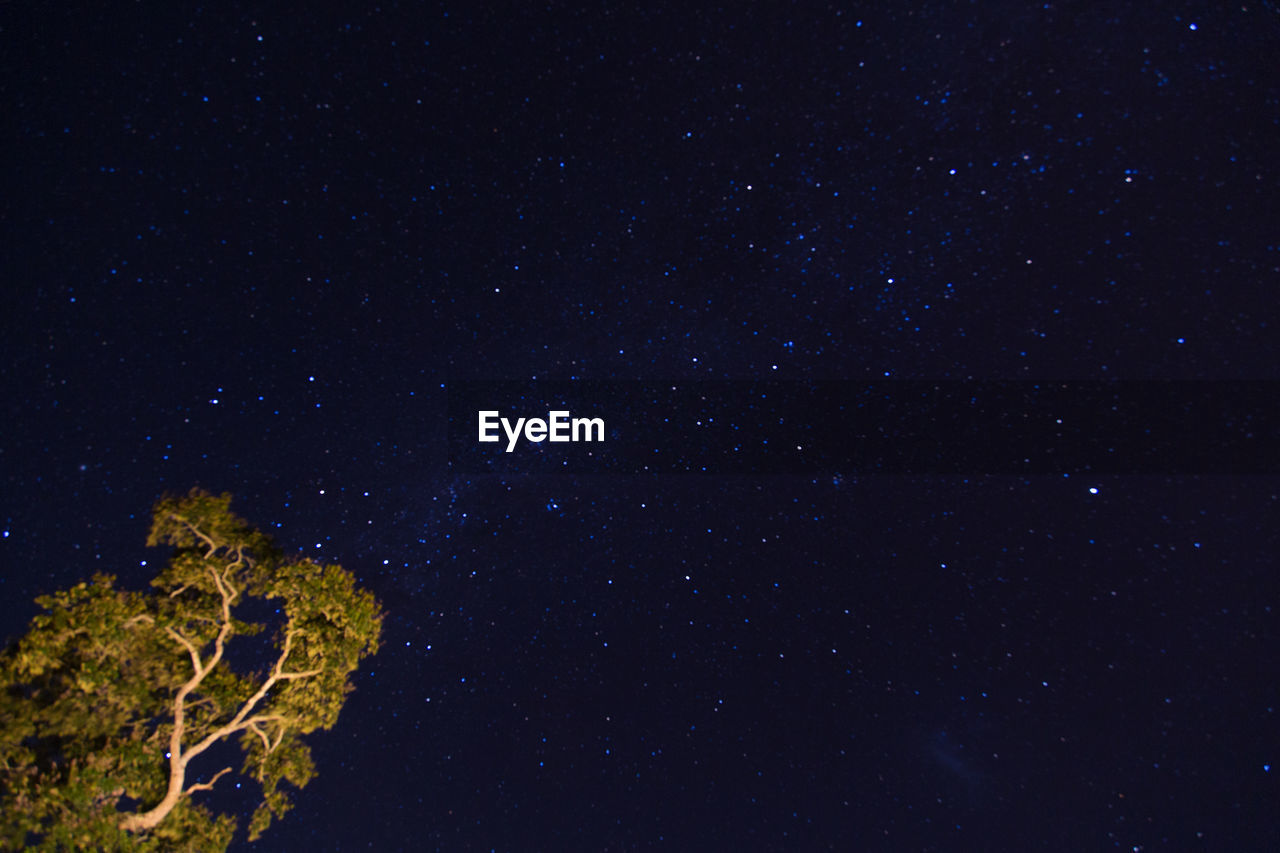 LOW ANGLE VIEW OF STAR FIELD AT NIGHT