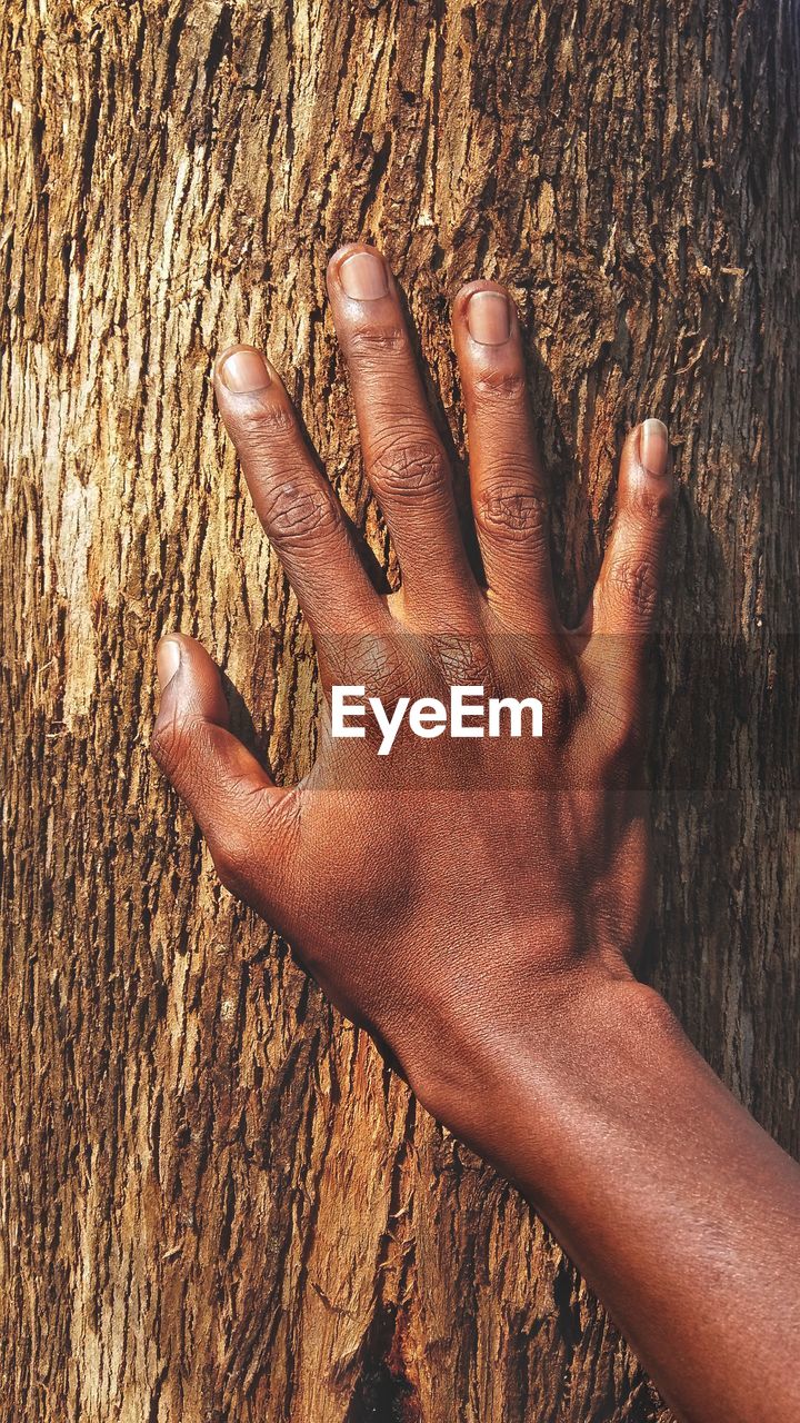 CLOSE-UP OF HANDS ON TREE TRUNK