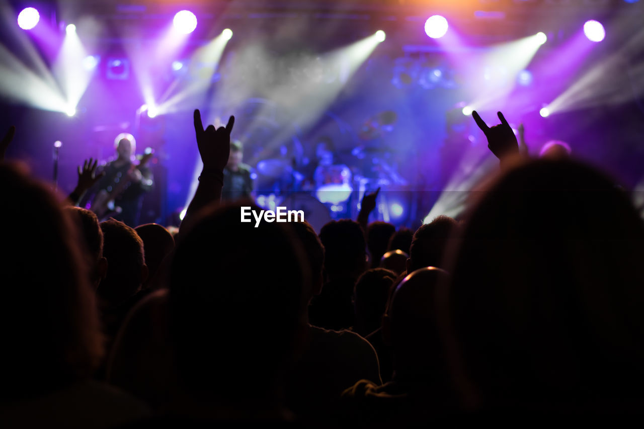 Group of people at music concert