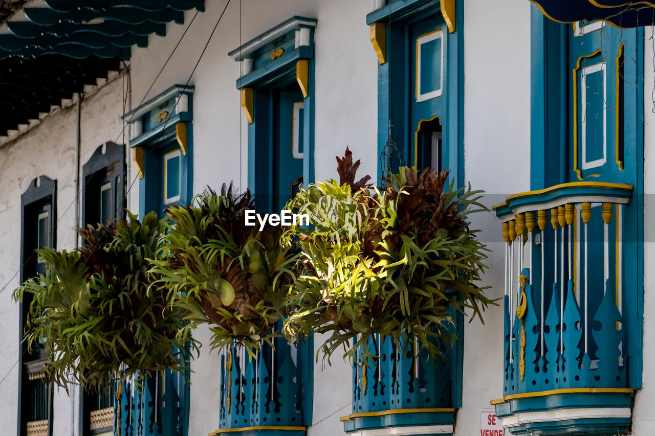 Houses at the heritage town of salamina located at the caldas department in colombia.