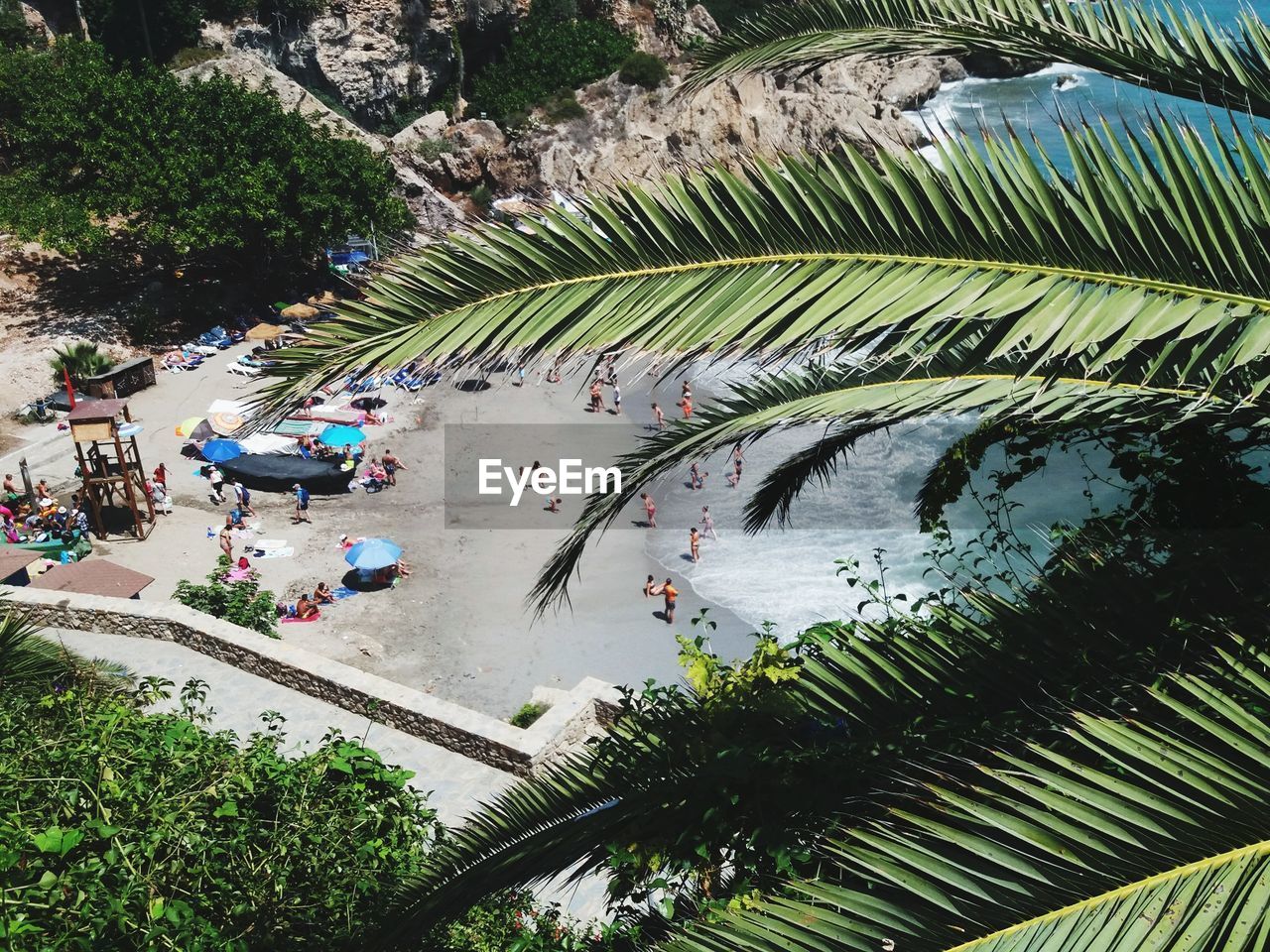 HIGH ANGLE VIEW OF PEOPLE BY PALM TREE