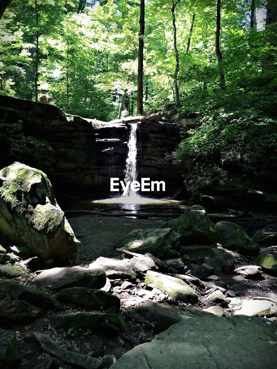 WATERFALL IN FOREST