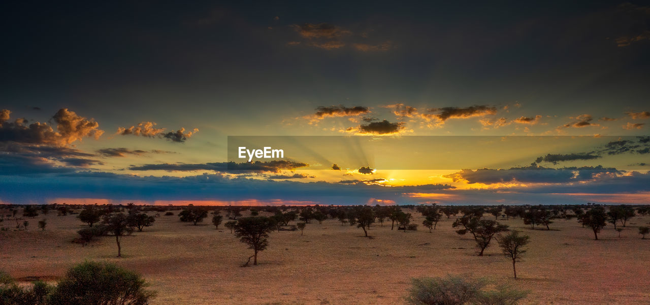 Sunrise in the kalahari