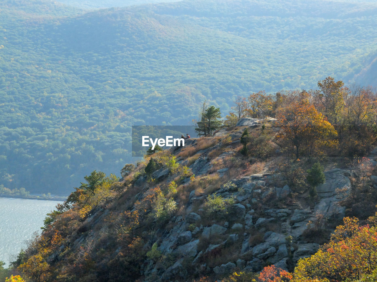 Scenic view of tree mountains