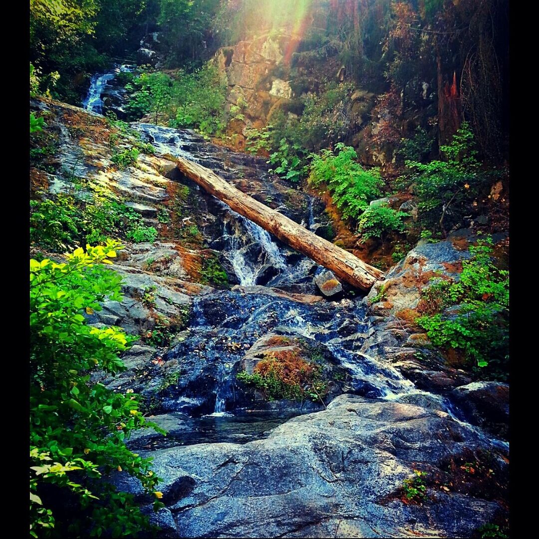 Rocky river in forest