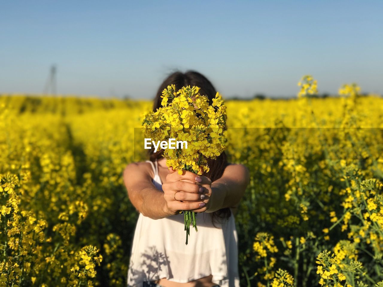 Woman holding yellow flowers in field