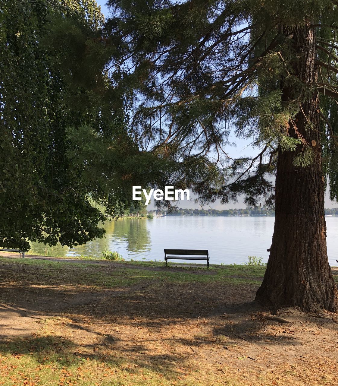 BENCH IN PARK