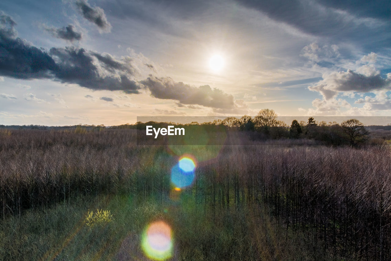 VIEW OF FIELD AGAINST SKY DURING SUNSET