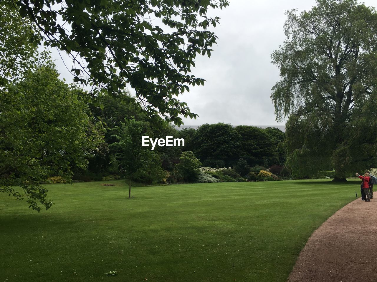 SCENIC VIEW OF GREEN LANDSCAPE