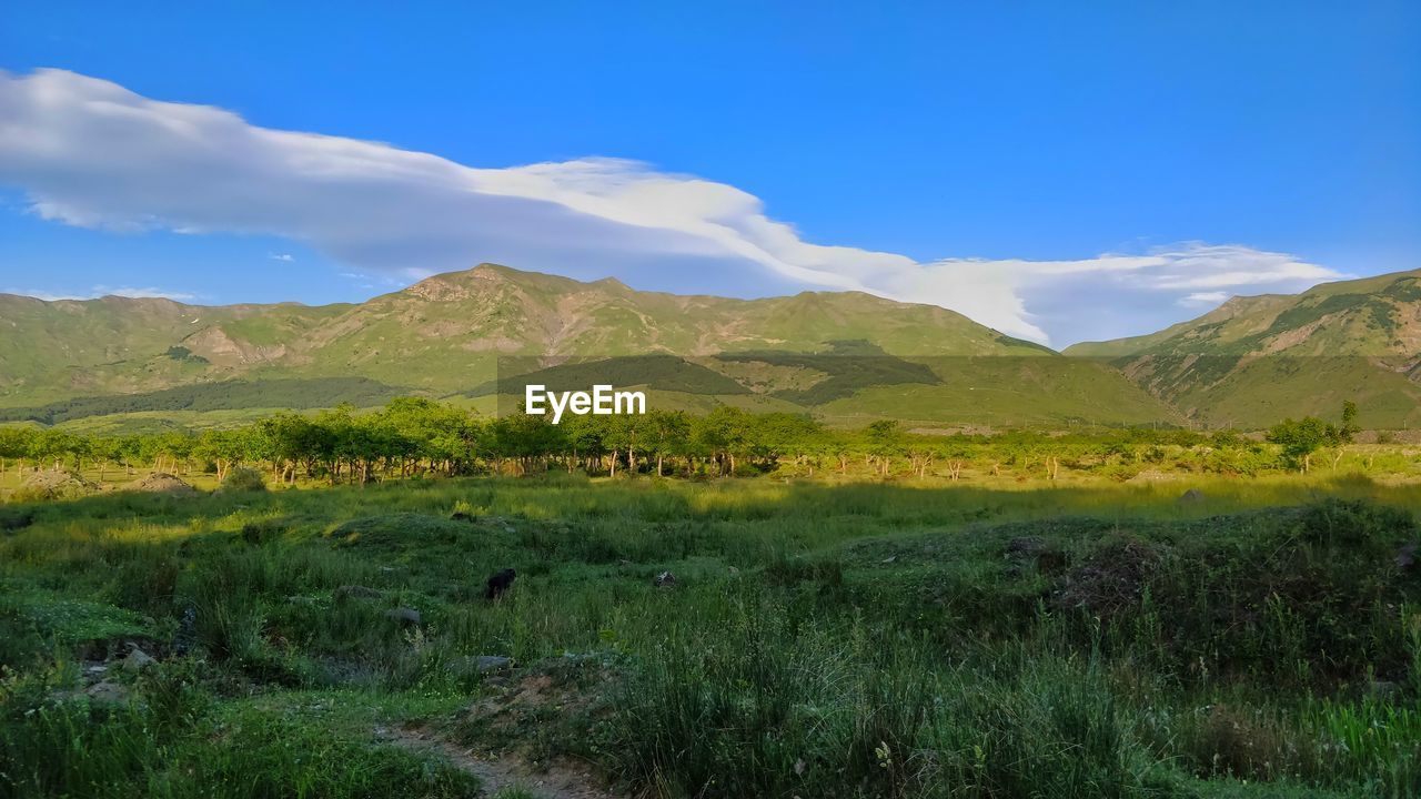 Scenic view of landscape and mountains against sky