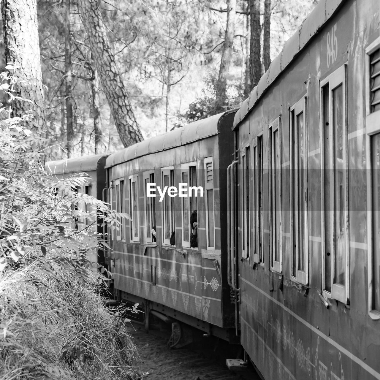 Toy train from kalka to shimla in india, toy train moving on mountain slope