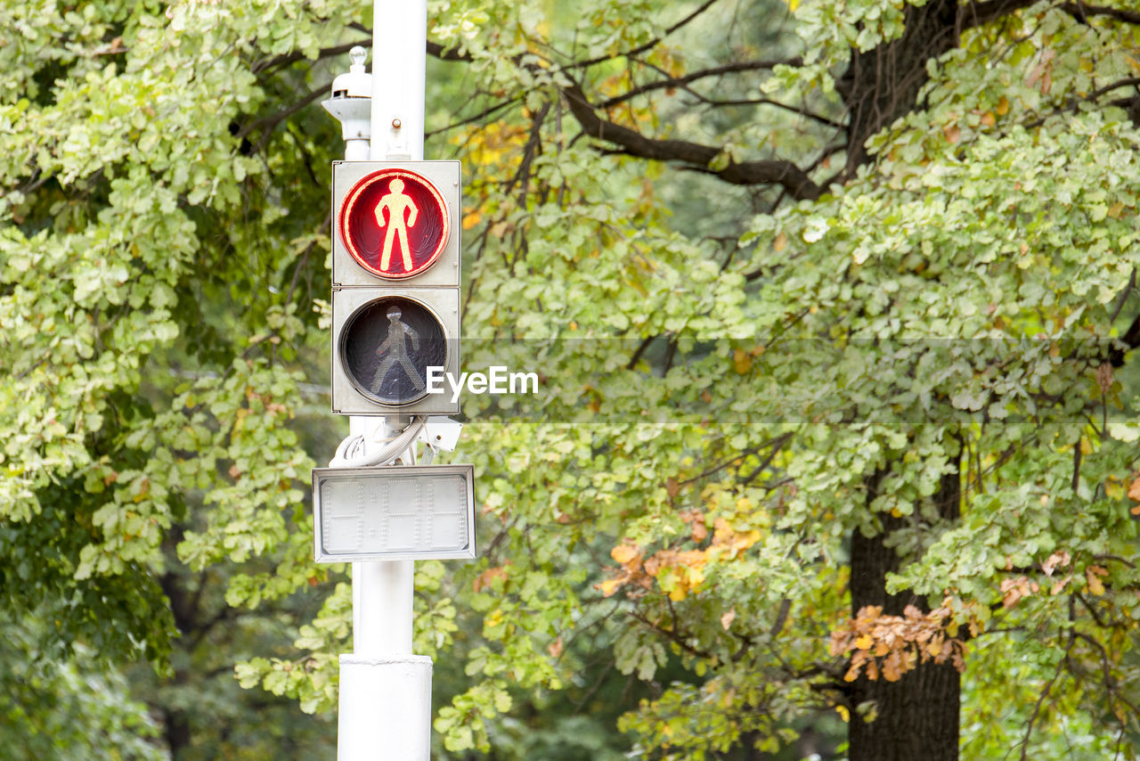 INFORMATION SIGN AGAINST TREES