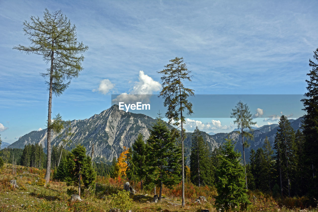 The postalm is an alpine pasture in the municipality of strobl in the province of salzburg