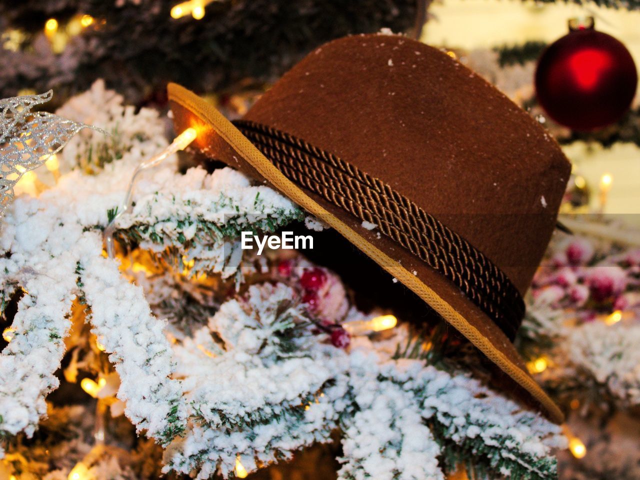 Close-up of hat on christmas tree