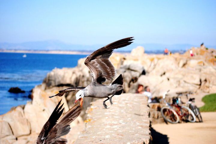 VIEW OF SEA FROM BEACH