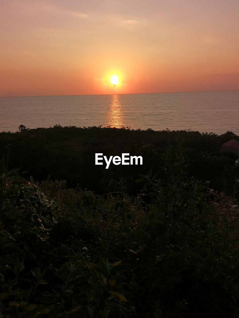 SCENIC VIEW OF SEA DURING SUNSET