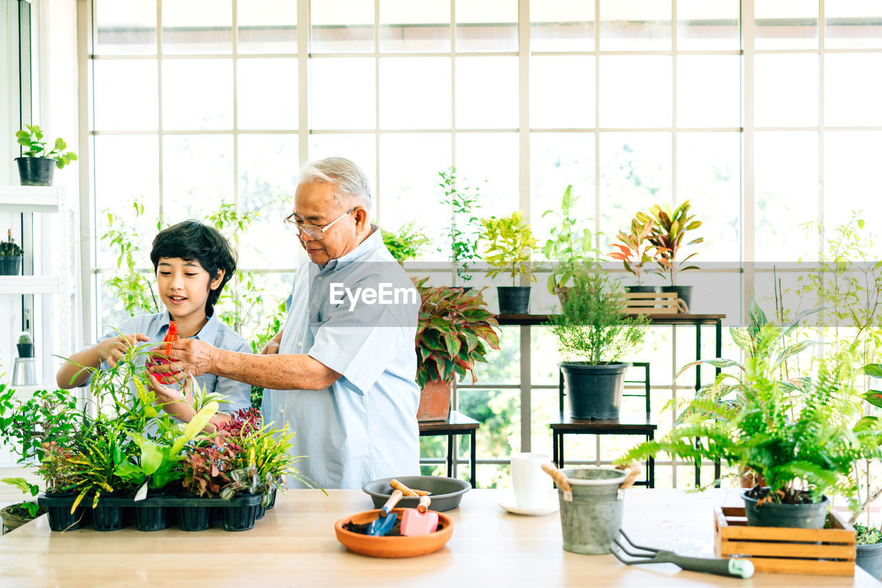 Senior man assisting grandson in greenhouse