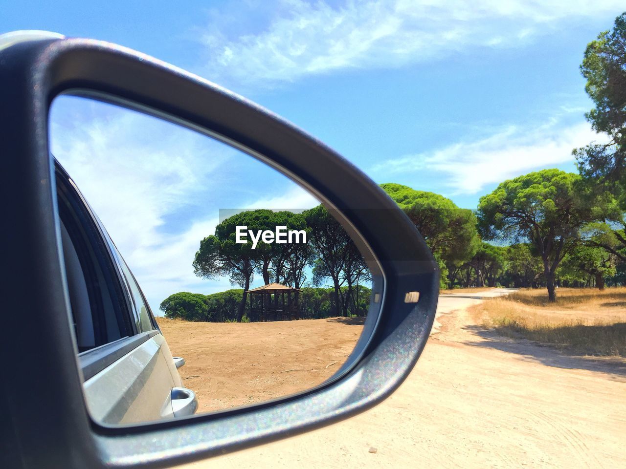 Reflection of trees on side-view mirror of car