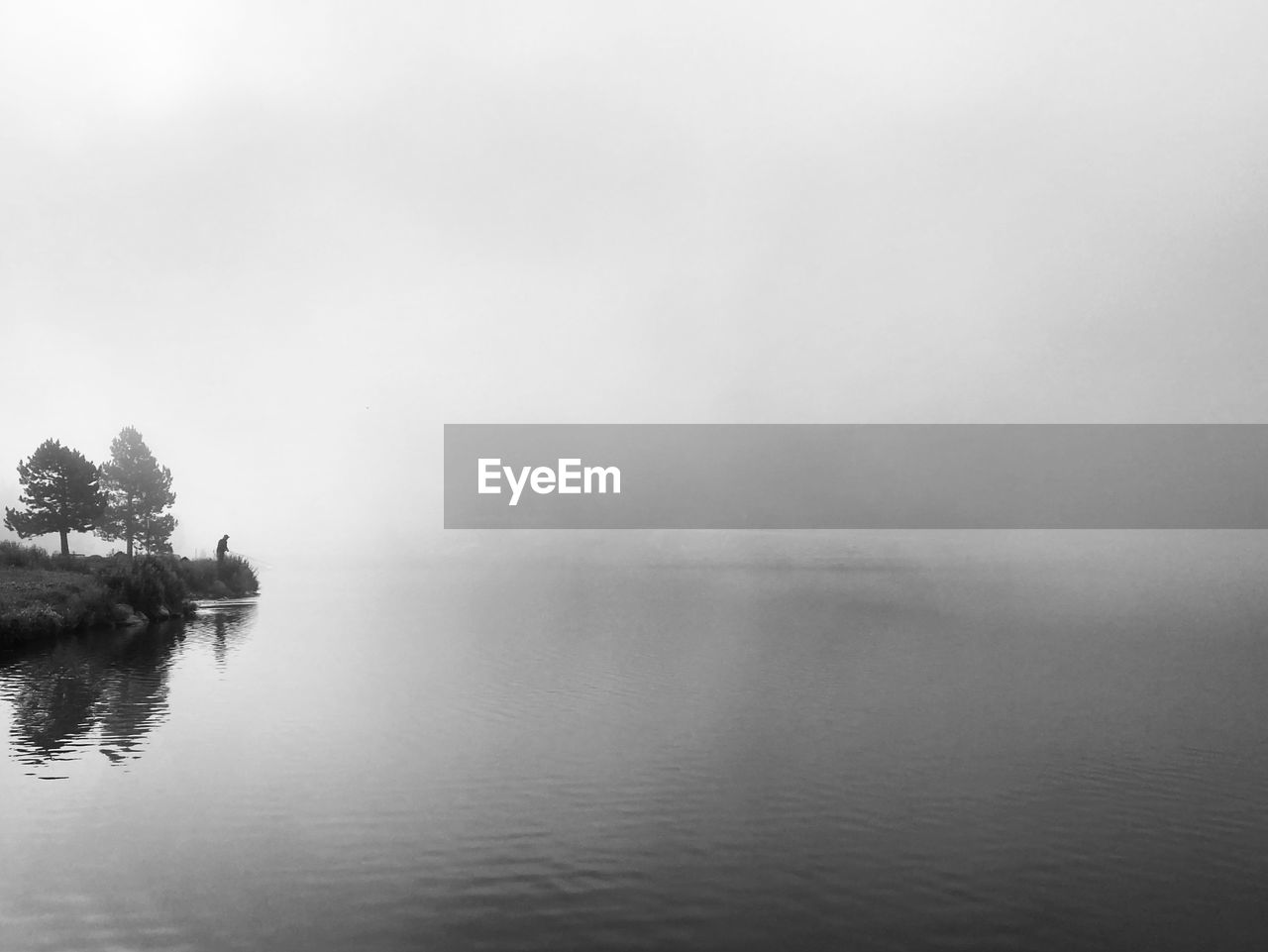 water, fog, mist, black and white, tranquility, monochrome photography, monochrome, scenics - nature, beauty in nature, morning, nature, tree, tranquil scene, lake, reflection, sky, no people, plant, environment, landscape, cloud, copy space, day, non-urban scene, outdoors, horizon, idyllic, land, travel, travel destinations, overcast
