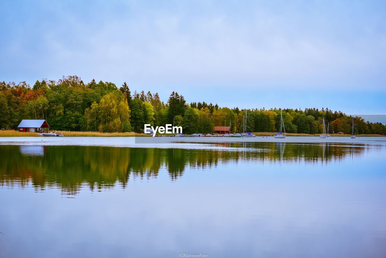 TREES BY LAKE AGAINST SKY