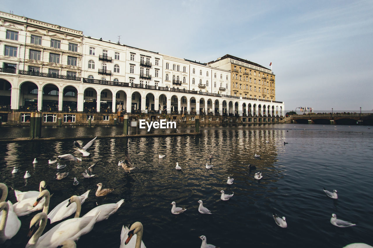 Birds swimming in lake with historic building seen in background